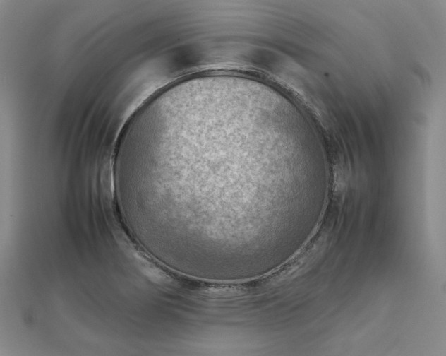 X0000111901274200908031109