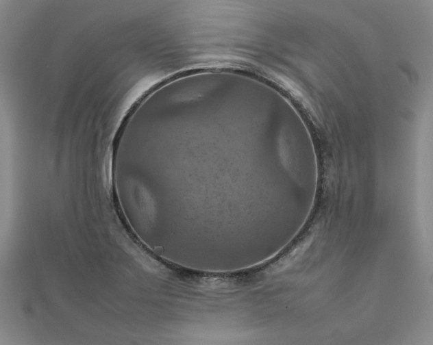 X0000111901275200908031109