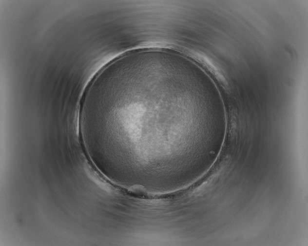 X0000111901276200908031109