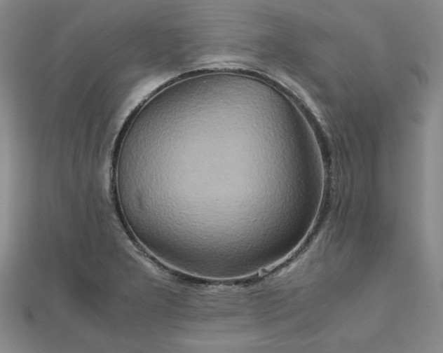 X0000111901277200908031109