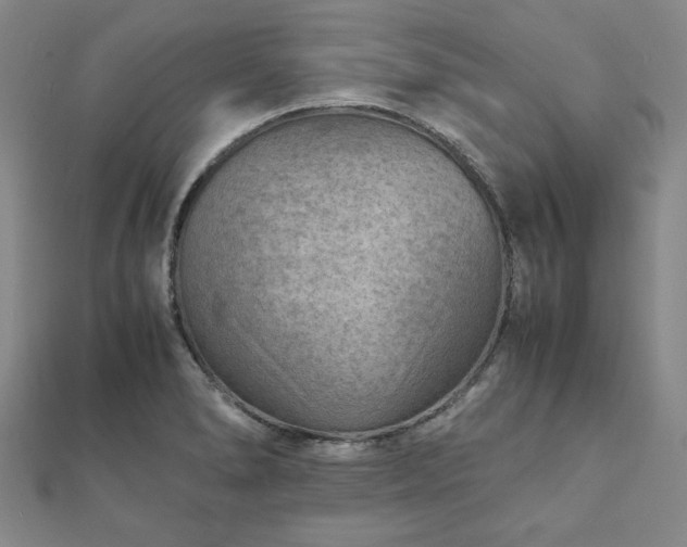 X0000111901278200908031109