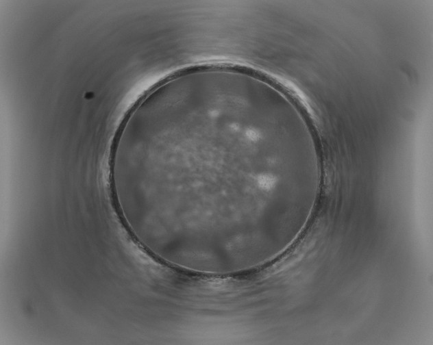 X0000111901279200908031109