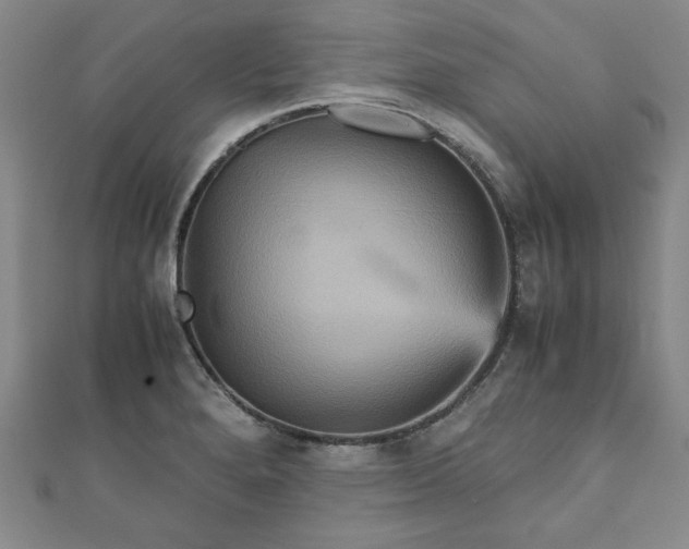 X0000111901280200908031109