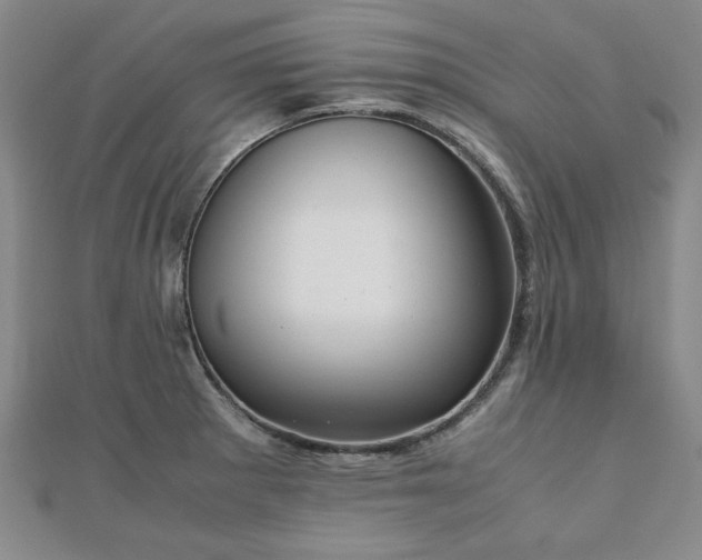 X0000111901281200908031109