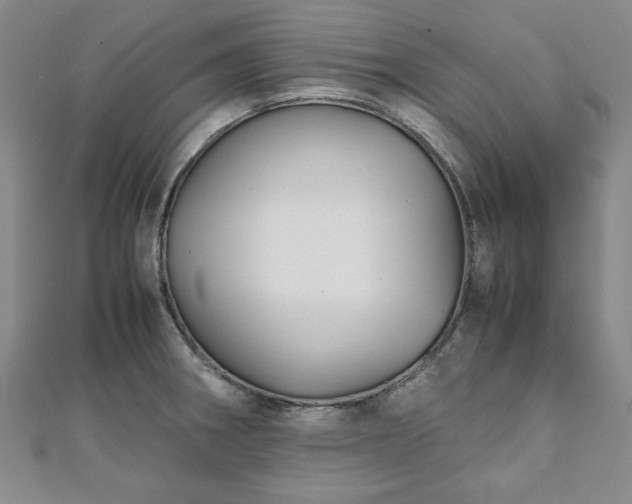 X0000111901282200908031109