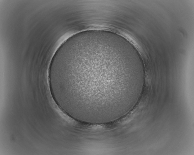 X0000111901283200908031109