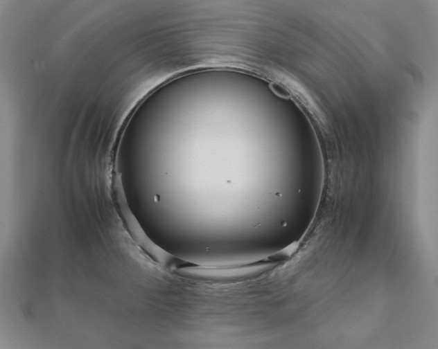 X0000111901284200908031109