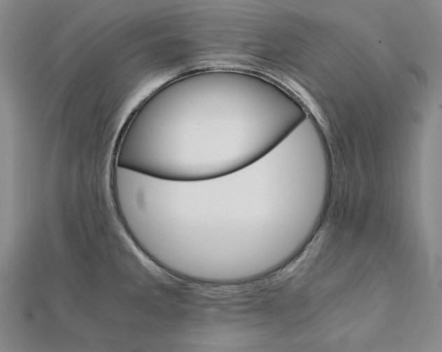 X0000111901285200908031109