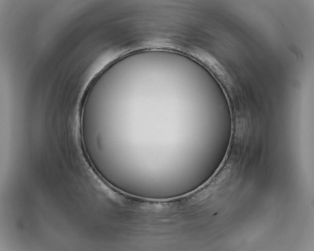 X0000111901286200908031109