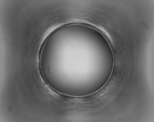 X0000111901287200908031109