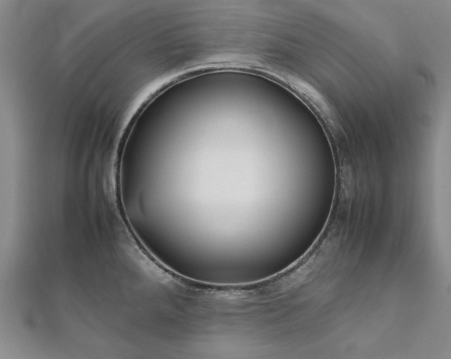 X0000111901288200908031109