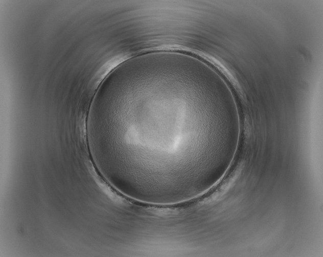 X0000111901289200908031109