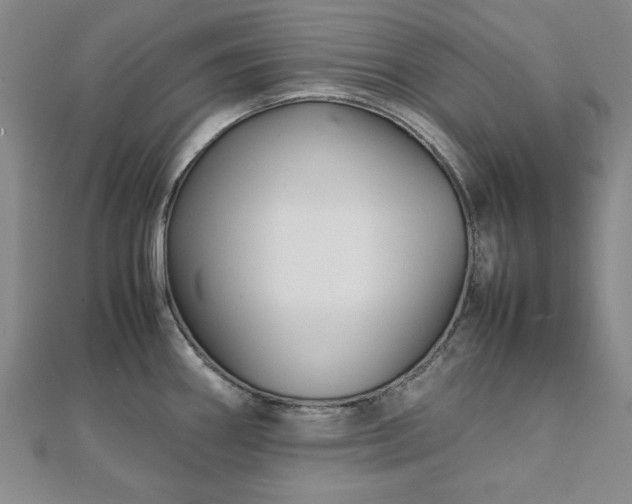 X0000111901290200908031109