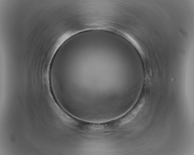 X0000111901291200908031109