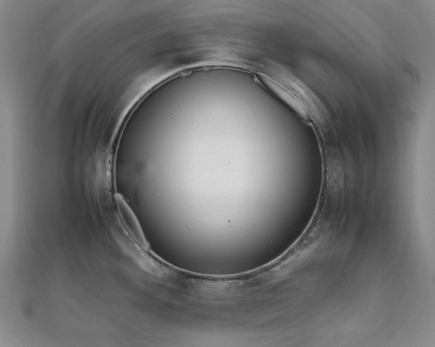 X0000111901292200908031109