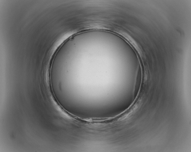 X0000111901293200908031109