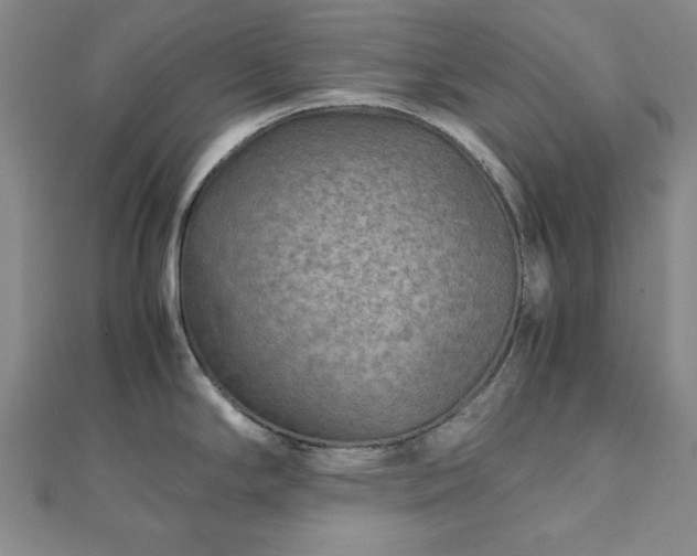 X0000111901294200908031109