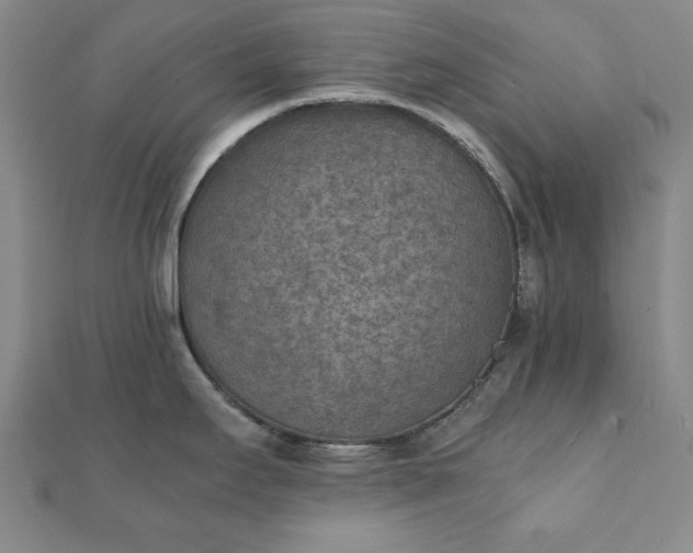 X0000111901295200908031109