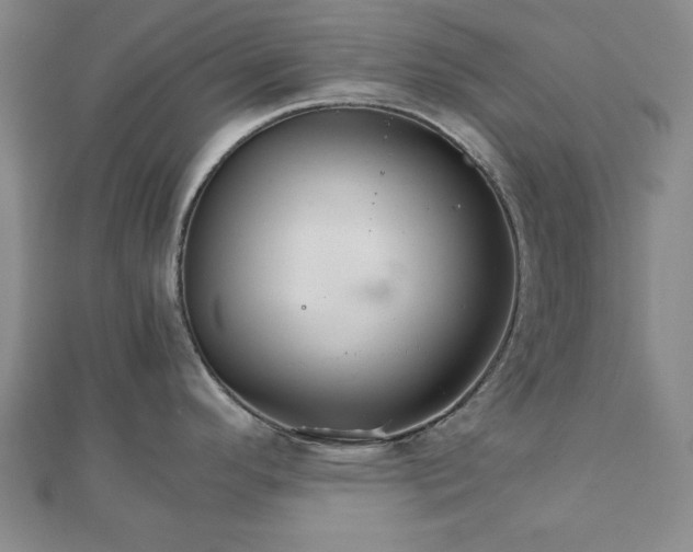 X0000111901296200908031109