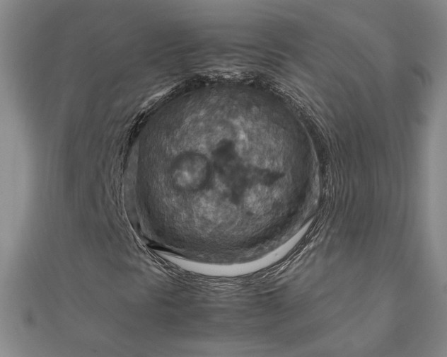 X0000111901297200908031108