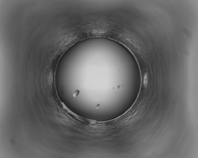 X0000111901299200908031108