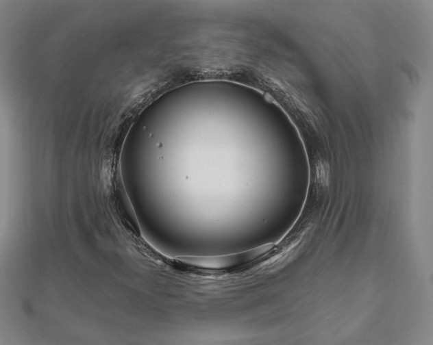 X0000111901300200908031108