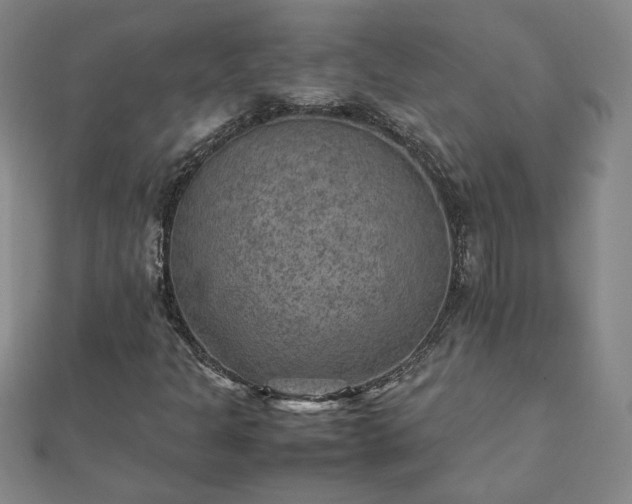 X0000111901301200908031108