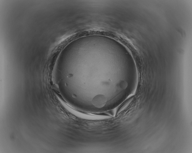 X0000111901303200908031108