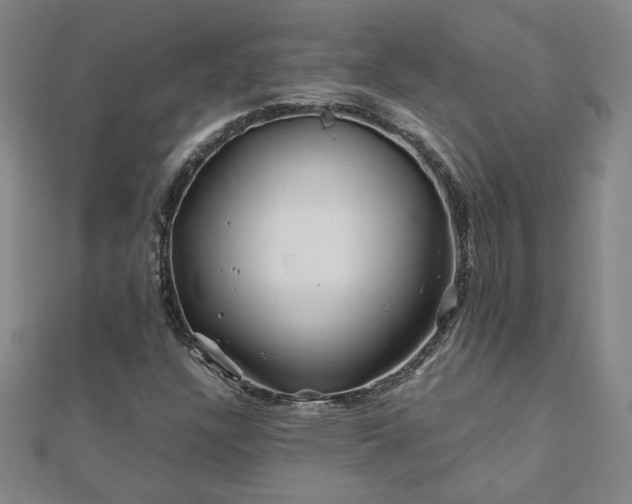 X0000111901304200908031108