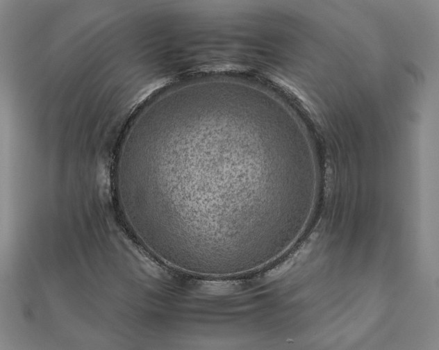 X0000111901305200908031108