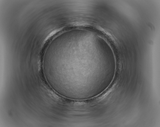 X0000111901306200908031108