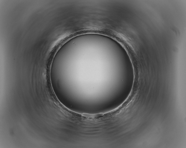 X0000111901307200908031108