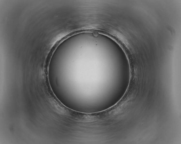 X0000111901308200908031108