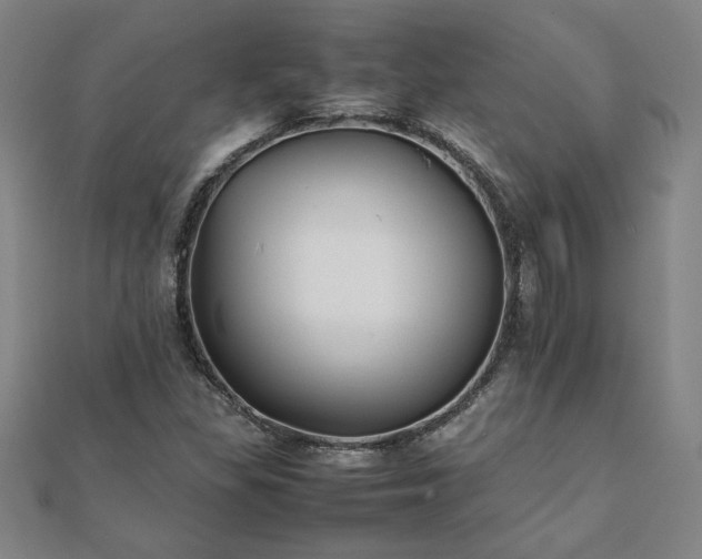 X0000111901309200908031108