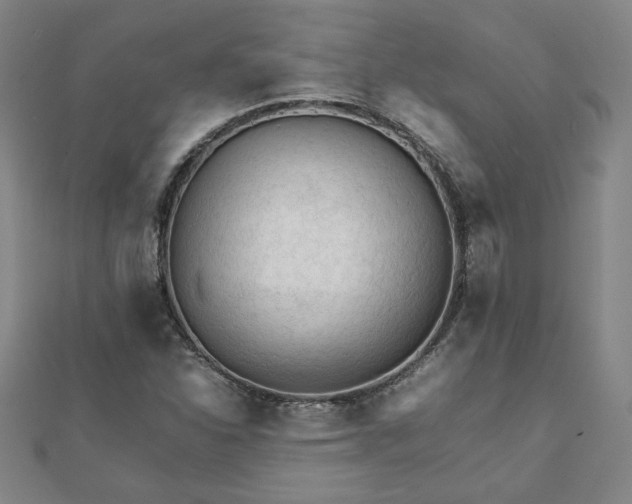 X0000111901310200908031108