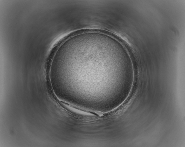 X0000111901311200908031108