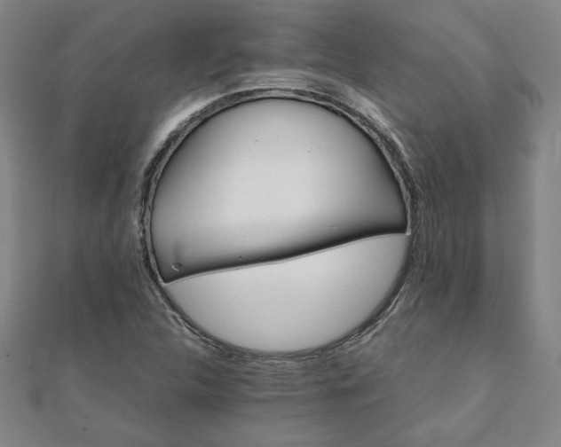 X0000111901312200908031108