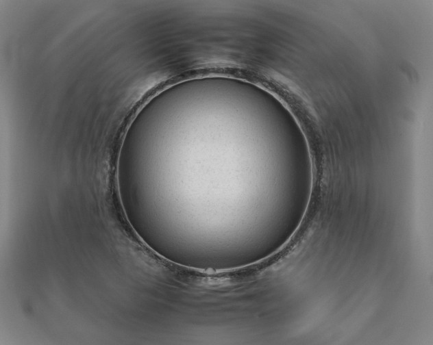 X0000111901313200908031108