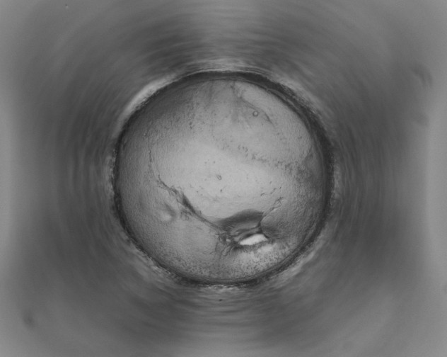 X0000111901314200908031108