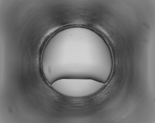 X0000111901315200908031108