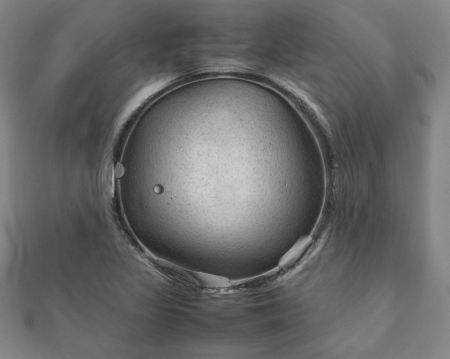 X0000111901317200908031108