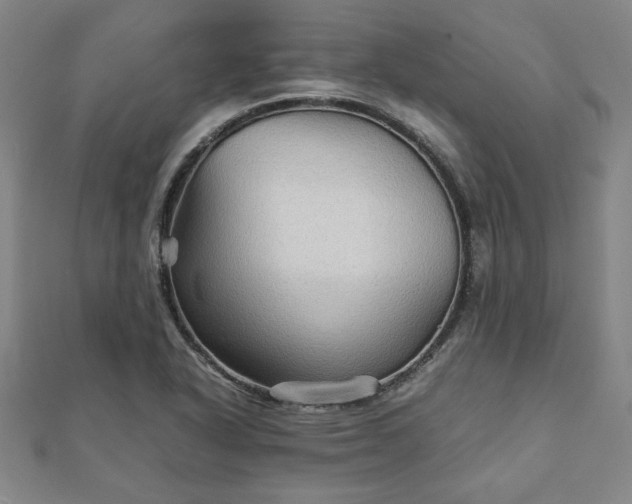 X0000111901318200908031108