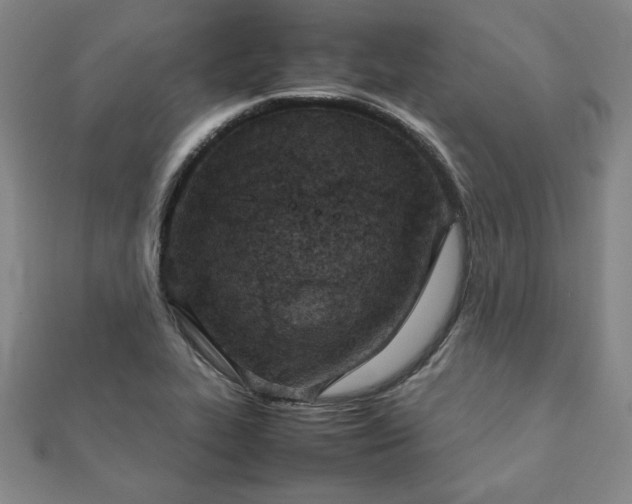 X0000111901319200908031108