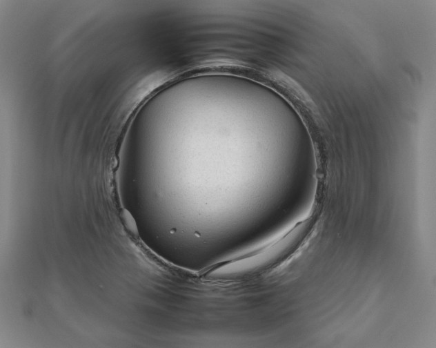 X0000111901321200908031108