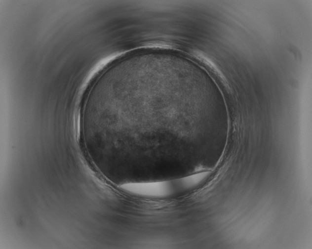 X0000111901323200908031108