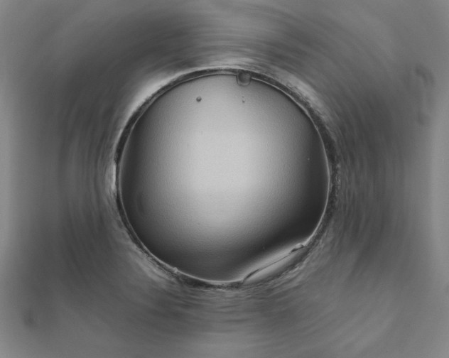 X0000111901324200908031108