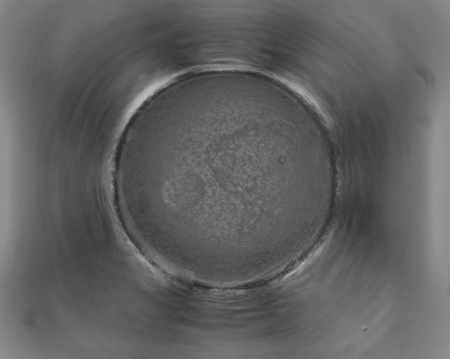 X0000111901325200908031108