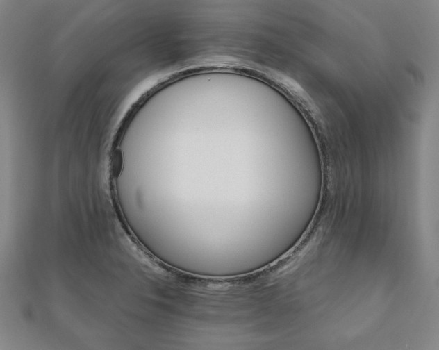 X0000111901326200908031108