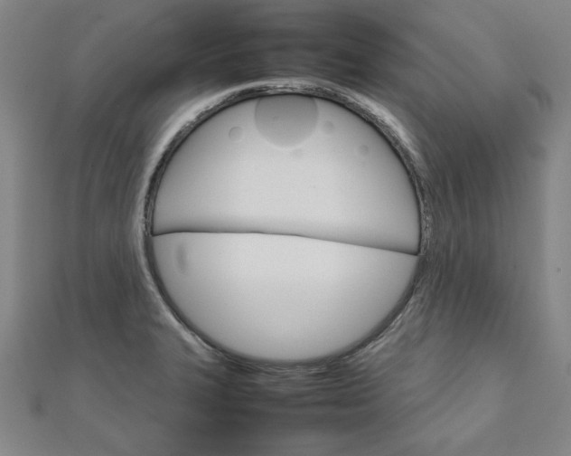 X0000111901327200908031108