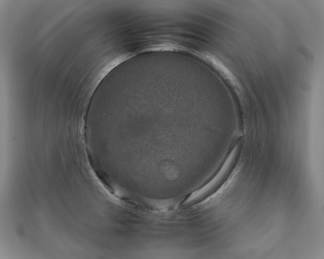 X0000111901329200908031109